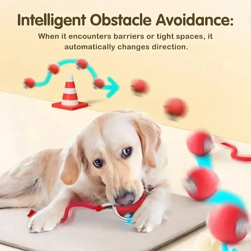 Whisker Chase Smart Interactive Pet Toy – Automatic Moving LED Ball