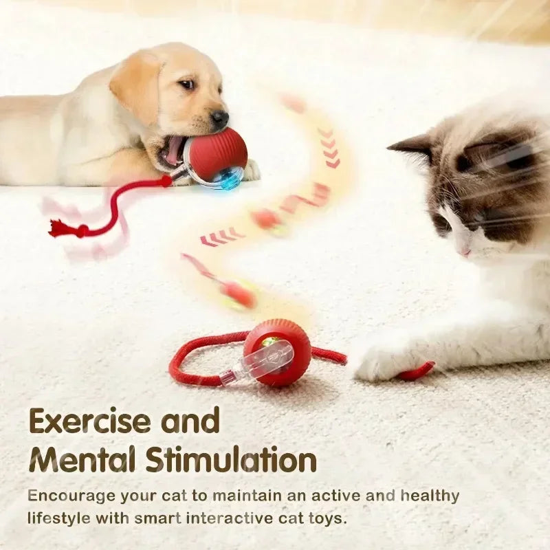 Whisker Chase Smart Interactive Pet Toy – Automatic Moving LED Ball